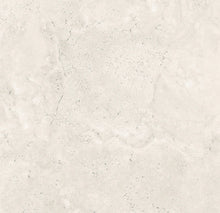 Load image into Gallery viewer, Plantia Bianco