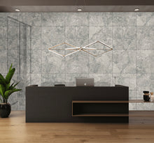 Load image into Gallery viewer, Plantia Dove