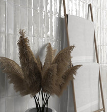 Load image into Gallery viewer, Artisan Bianco