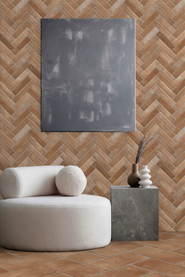 Terranova CLAY 6×25 range image