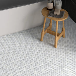 Carrara White Marble Penny Tile image 2