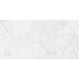 Winter 30x60 Ice Matt Carving