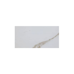 Carrara Flat Gloss 10x20cm